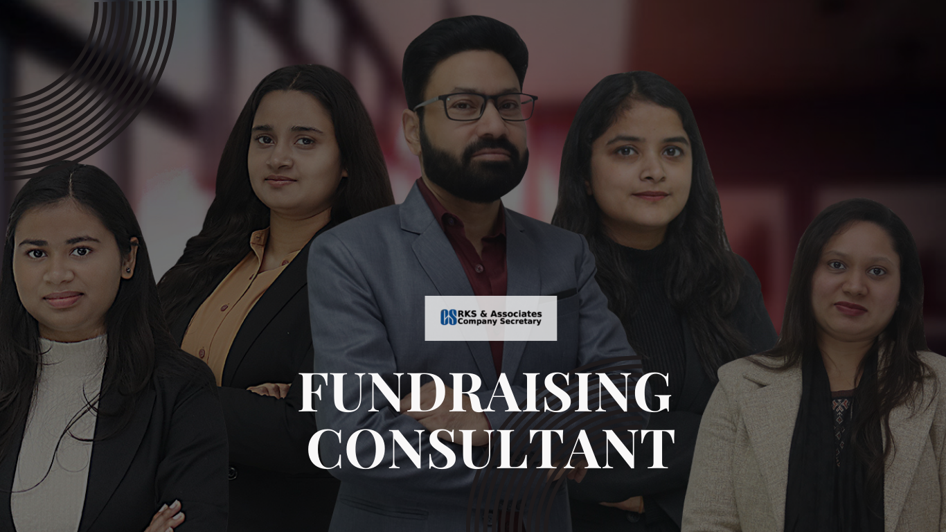 fundraising conultant fundraising consultant
